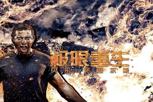 极限重生八卦,揭秘娱乐圈八卦背后的真相与传奇