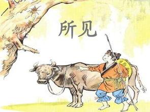 袁枚资料,清代文学巨匠与生活哲学的探索者