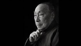 wolf colony资料,狼群殖民地的生存智慧与社交法则