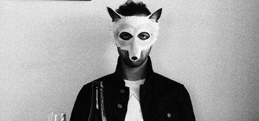 wolf colony资料,狼群殖民地的生存智慧与社交法则  第2张